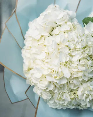 Монобукет White cloud