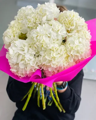 Монобукет White cloud доставка в Дубае