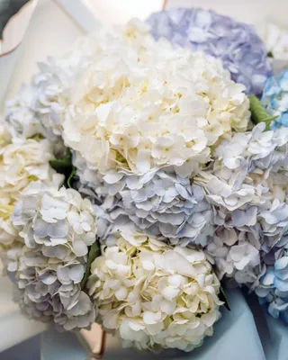 Monobouquets The balloon