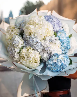 Монобукет The balloon доставка в Дубае