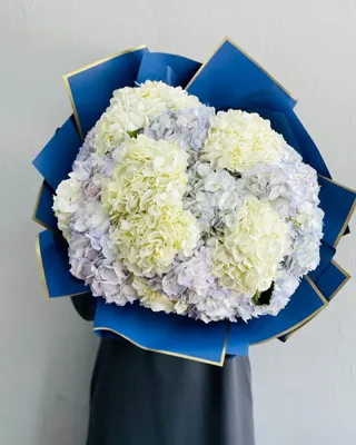 Monobouquets The balloon