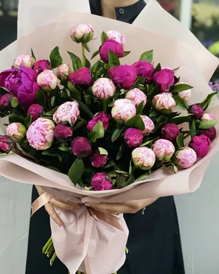 Peony bouquets Peony mix delivery in Dubai