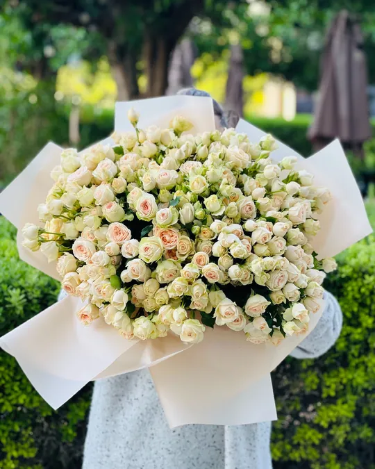 Кустовые розы Sweet apricot