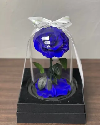 وردة اللانهاية الزرقاء الفردية التسليم في دبي