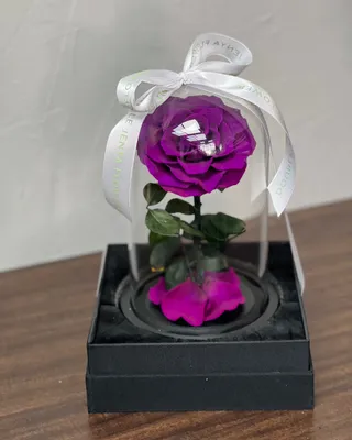 وردة اللانهاية الفردية بلون الباودر البنفسجي التسليم في دبي