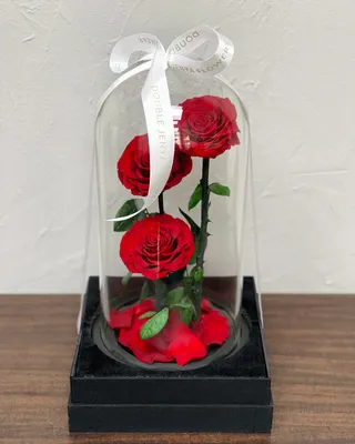 ثلاث ورود انفانتي باللون الأحمر التسليم في دبي