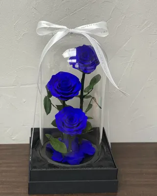 Infinity Rose Trio Blue delivery in Dubai