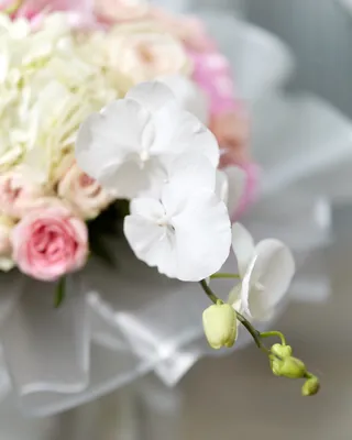 Signature bouquet Precious