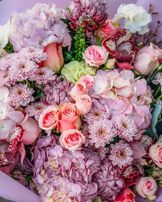 باقة توقيع أفكار بنفسجية