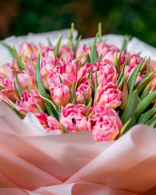 Monobouquets Peony style tulips