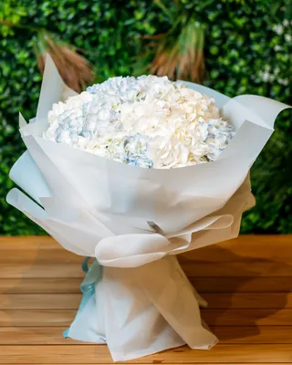 Monobouquets Cute impression