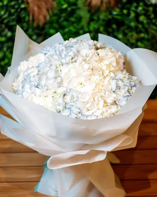 Monobouquets Cute impression delivery in Dubai