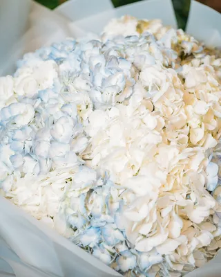 Monobouquets Cute impression