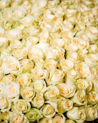 Big bouquet of flowers Dream big