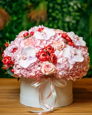 تشكيلات صندوق أنت غالي علي