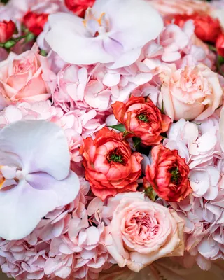 تشكيلات صندوق أنت غالي علي