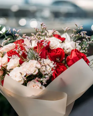 Occasional flowers Emotions