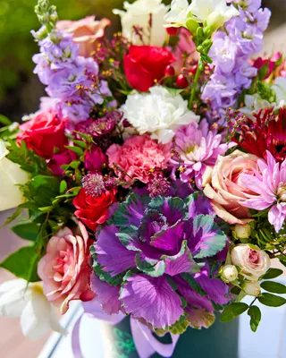 تشكيلة صندوق الروحاني