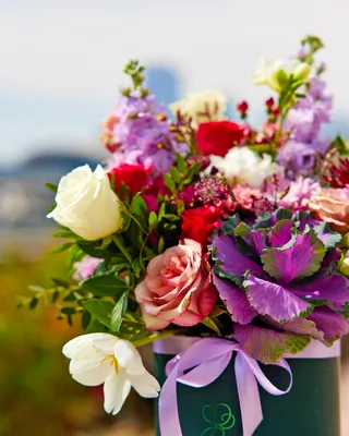 تشكيلة صندوق الروحاني