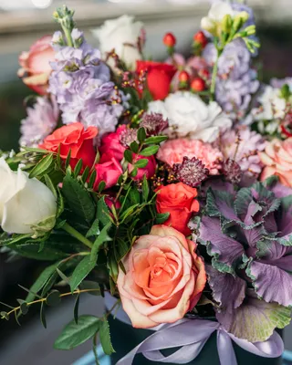 تشكيلة صندوق الروحاني