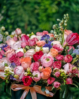 Box arrangement In a moment