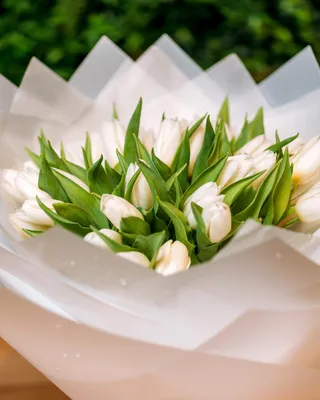 Monobouquet White embrace delivery in Dubai