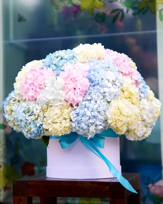 Box arrangement Say it in pastel delivery in Dubai