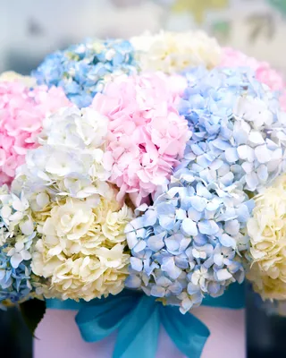 Box arrangement Say it in pastel