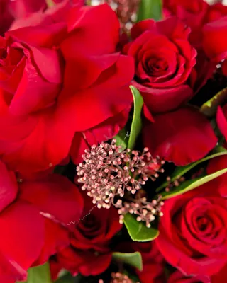 Композиция в коробке Shadows of red