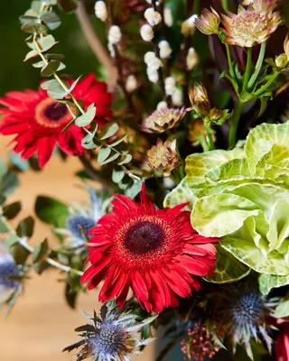 Box arrangement Bright dreams