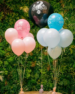 Balloons Baby gender reveal set delivery in Dubai