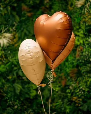 Balloons Nude hearts