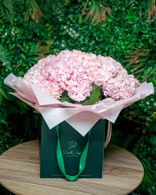 مجموعة هايدرانجيا وردية بنجمة التسليم في دبي