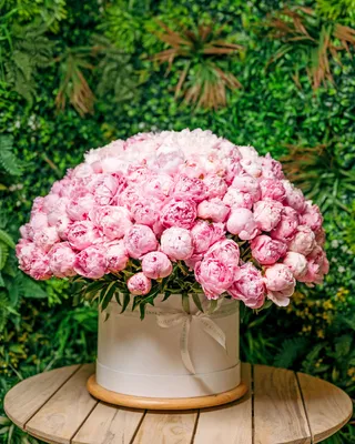 Peony bouquet Wow Sarah Bernhard delivery in Dubai