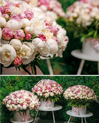Peony bouquet In love with peonies delivery in Dubai