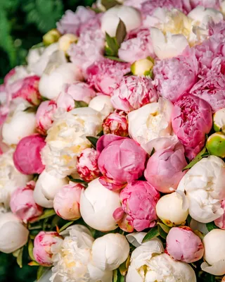 Peony bouquet In love with peonies