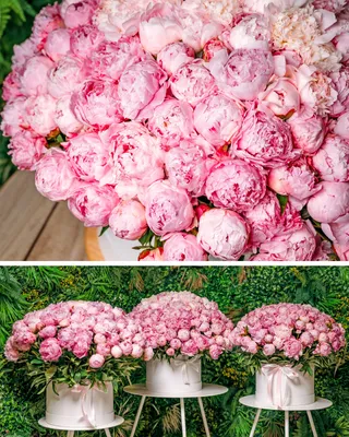 Peony bouquet Wow effect with Sarah Bernhard delivery in Dubai