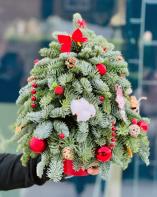 Red Lights Christmas tree (size XS)