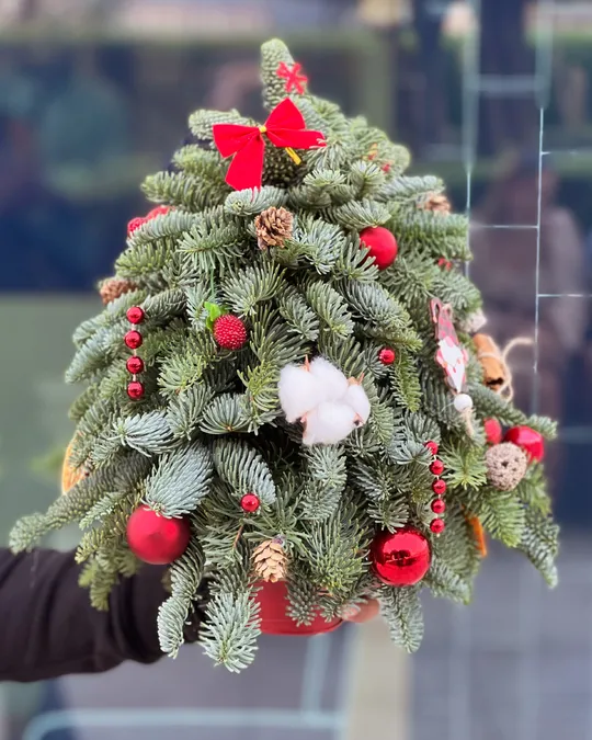 Red Lights Christmas tree (size XS)