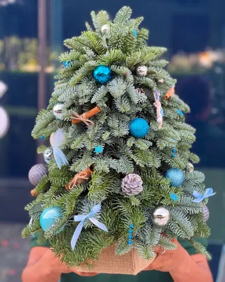 Blue Lights Christmas tree (size S) delivery in Dubai