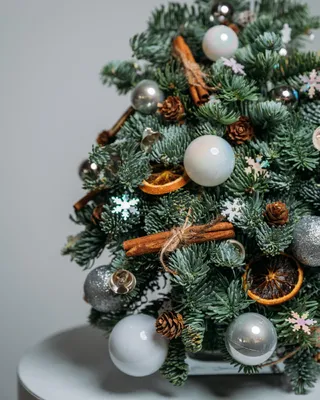 Silver Lights Christmas tree (size XS)