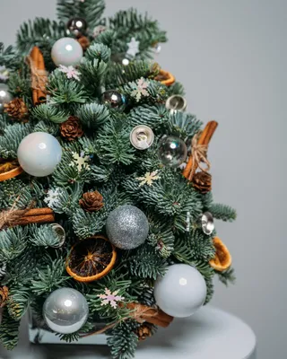 Silver Lights Christmas tree (size XS)