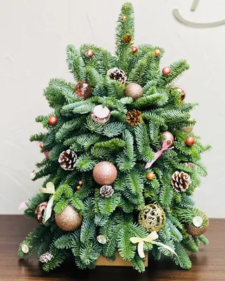 Pink Lights Christmas tree (size S) delivery in Dubai