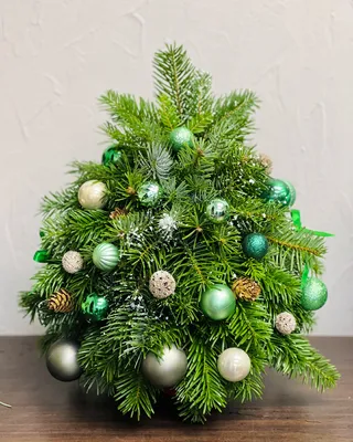 Green Lights Christmas tree (size XS) delivery in Dubai