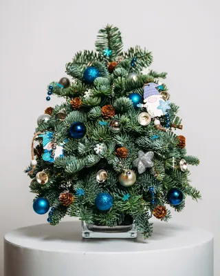 Blue Lights Christmas tree (size XS) delivery in Dubai