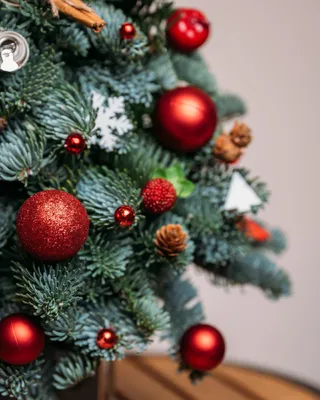 Red Lights Christmas tree (size S)