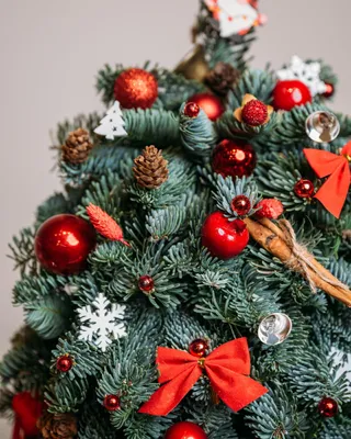 Red Lights Christmas tree (size S)