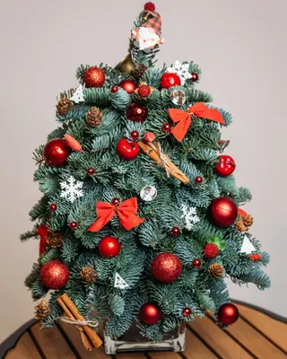Red Lights Christmas tree (size S) delivery in Dubai