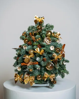 Christmas tree Golden lights (size XS) delivery in Dubai