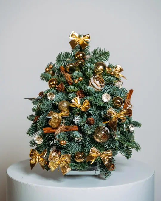 Christmas tree Golden lights (size XS)